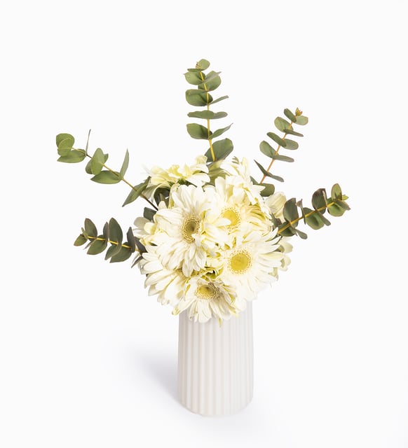 Beyaz Çizgili Polimer Vazoda Beyaz Gerbera Çiçekleri