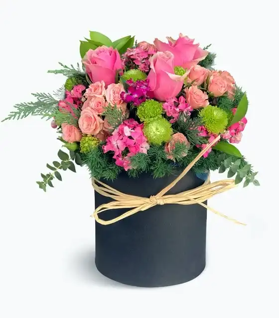 Pink Box