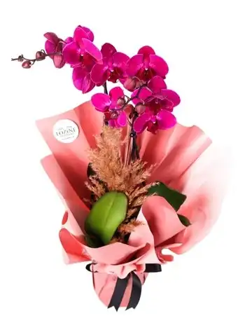 Colorful