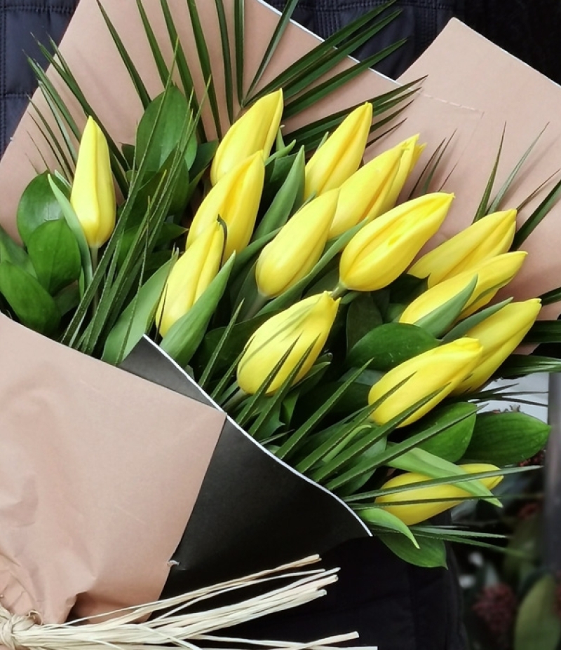 Tulip Era Yellow