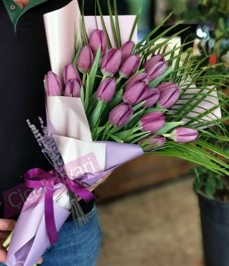 Tulip Era Purple Color