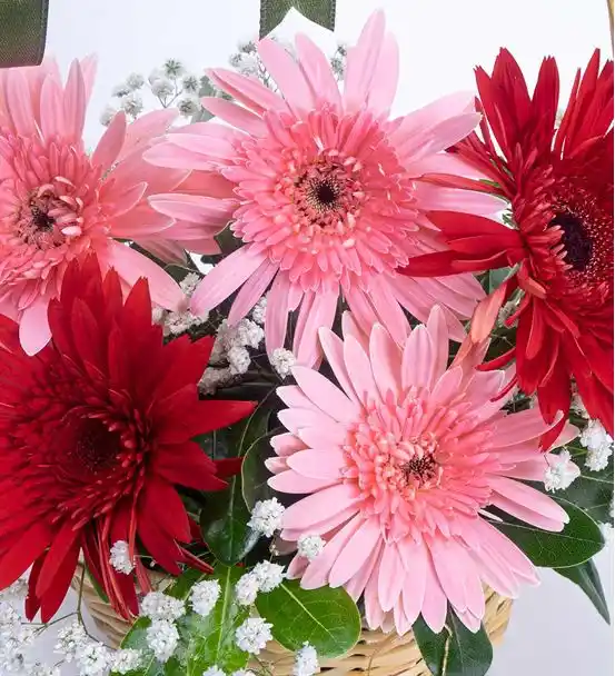 2 Kırmızı 3 Pembe Gerbera Çiçek Sepeti - ikinci gorsel
