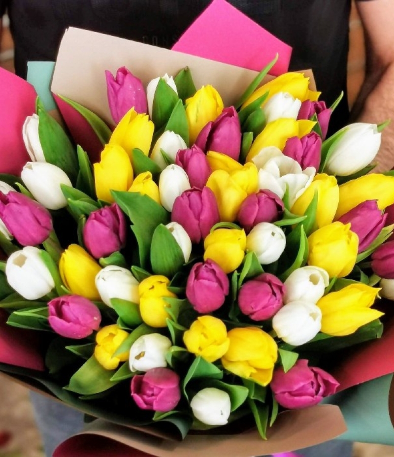 Colourful Tulip Era