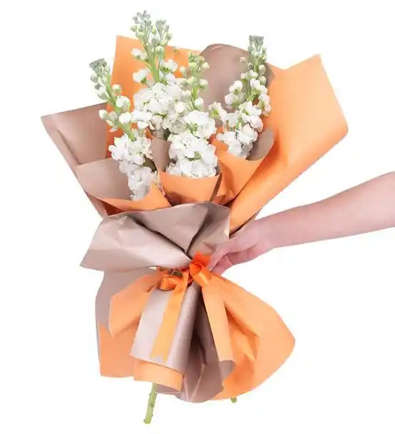 White Swan Mis Kokulu Şebboy Buketi