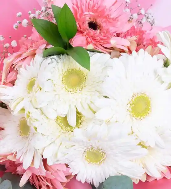 Eternal Summer Beyaz Pembe Gerbera Çiçek Buketi - ikinci gorsel