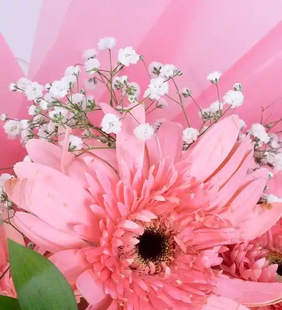 Eternal Summer Beyaz Pembe Gerbera Çiçek Buketi