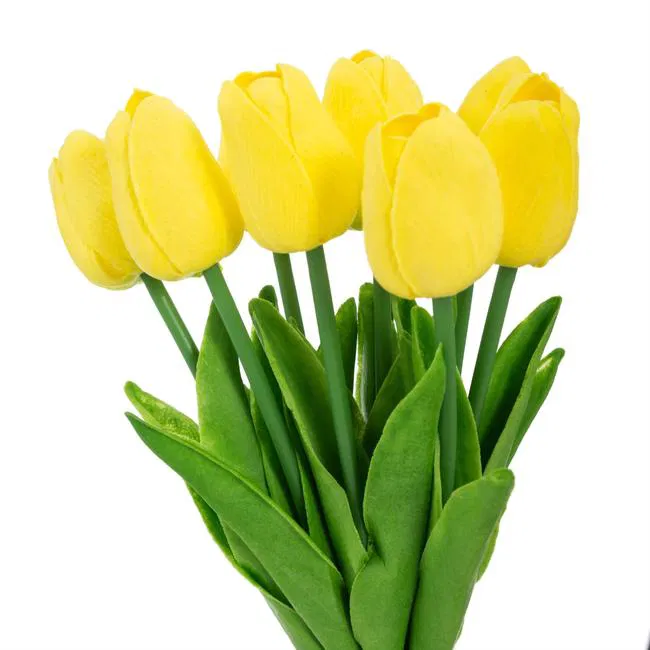 Tulips 11 Adet Sarı Lale
