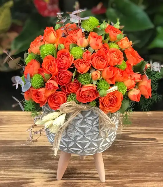 Orange Roses