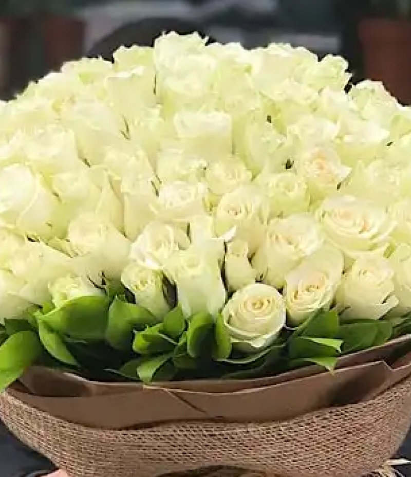 White Roses 101