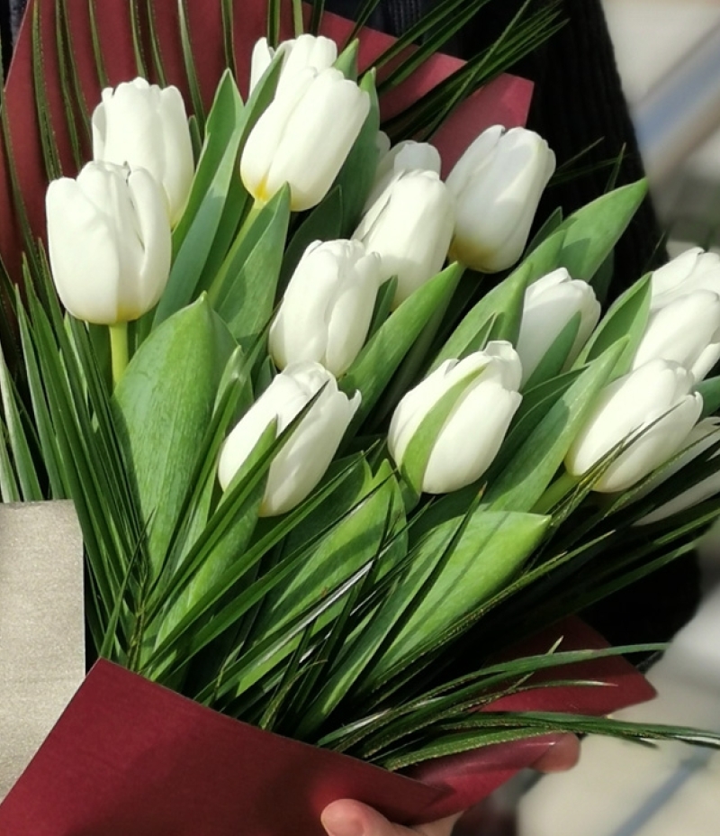 Tulip Era White