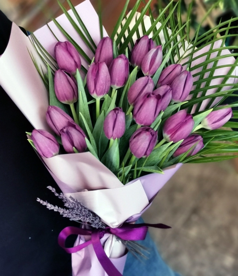 Tulip Era Purple Color