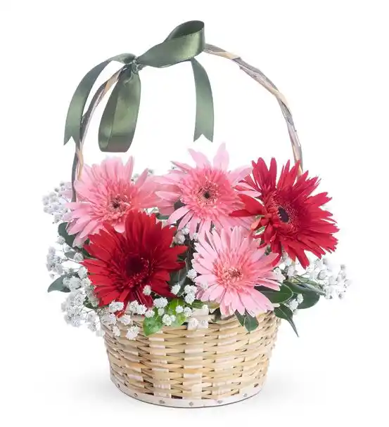 2 Kırmızı 3 Pembe Gerbera Çiçek Sepeti