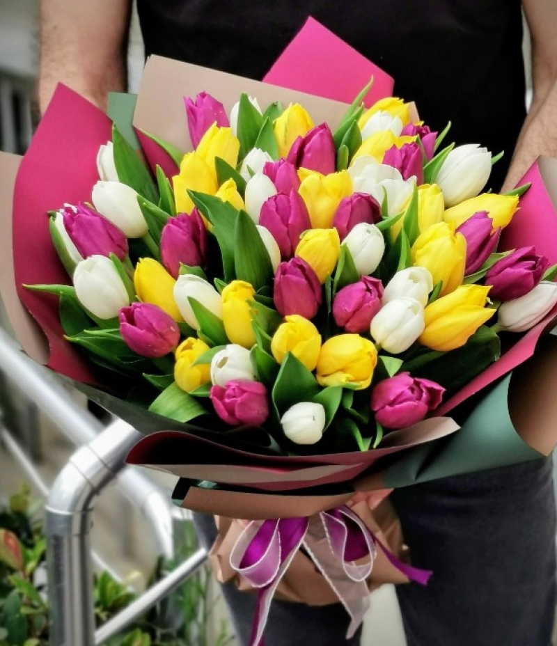 Colourful Tulip Era