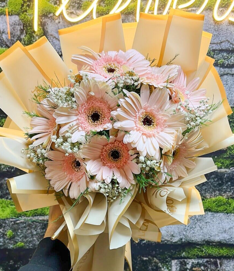 Pembe Gerbera Buketi