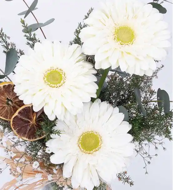 3 States Of Beyaz Gerbera Aranjmanı