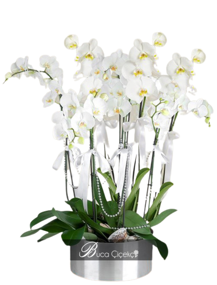 6 Dal Orkide Metal Vazo