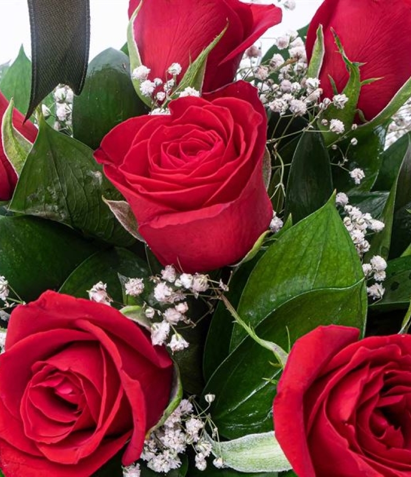 5 States of Purity Ross 