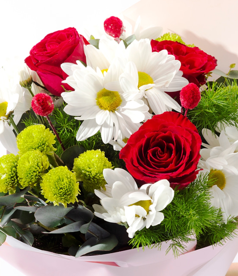 Bukette Kırmızı Güller ve Beyaz Papatyalar sesi